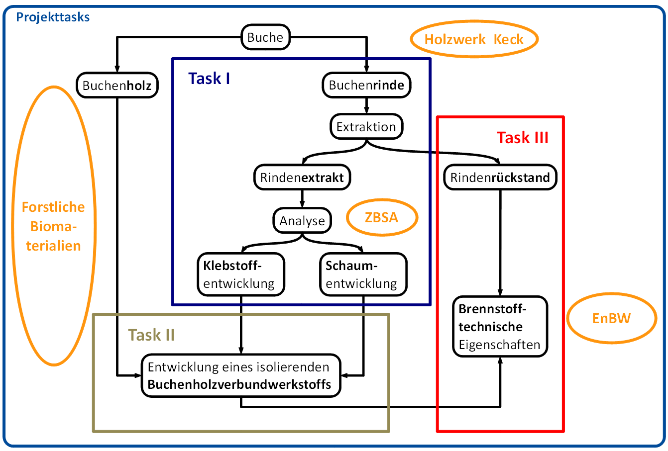 Schema_Projekt_Buchenrinde_Website.png