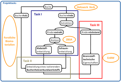 Schema_Projekt_Buchenrinde_Website.png