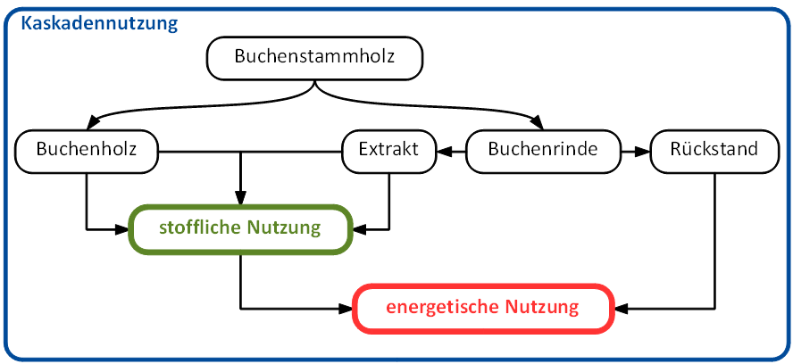 Schema_Kaskadennutzung_Website.png